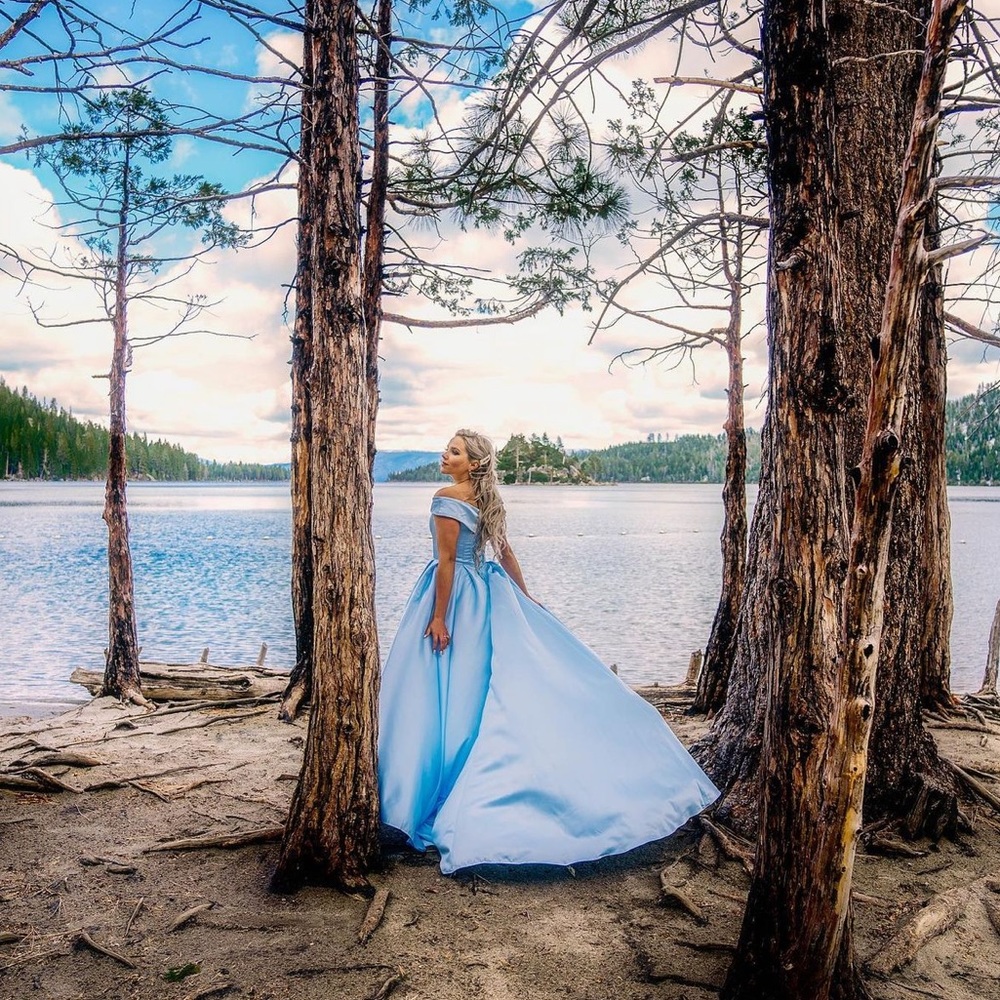 Cinderella Dress ✨ - Picture 3 of 6